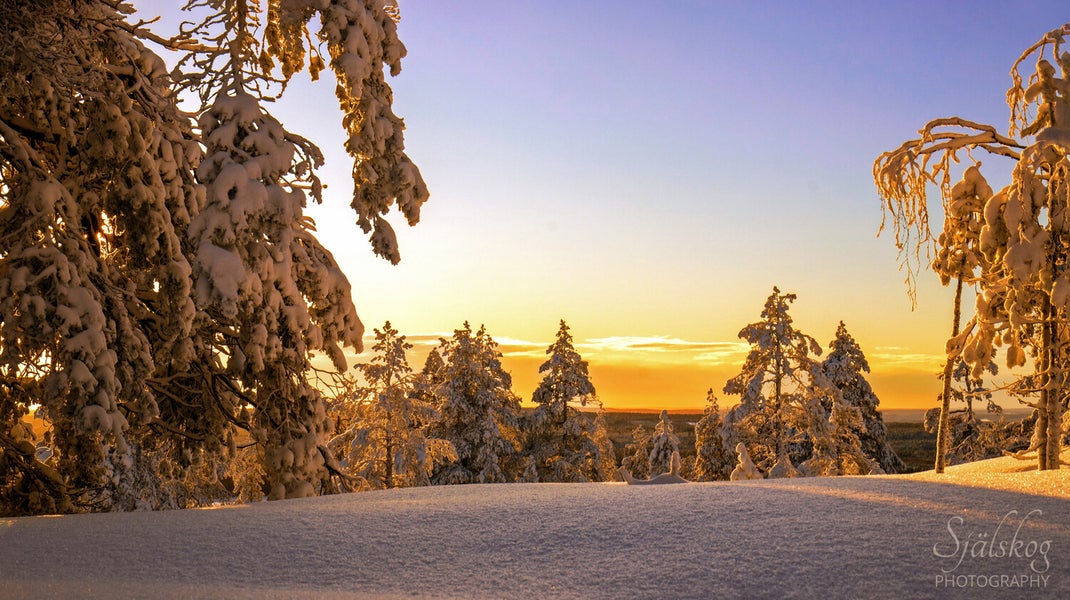 A tale of 'cursed' winter photos from Bälingeberget, Sweden. Discover the alchemy of transforming flawed landscapes into an enchanting gallery of light.