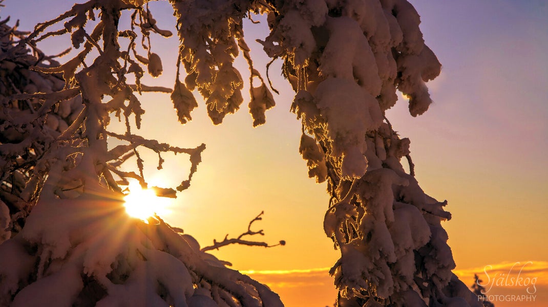 A tale of 'cursed' winter photos from Bälingeberget, Sweden. Discover the alchemy of transforming flawed landscapes into an enchanting gallery of light.