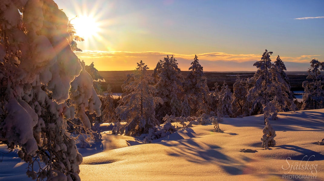 Experience a magical winter sunset at Bälingeberget, Sweden. A landscape photography gallery capturing the golden light and a story of creative rebirth.
