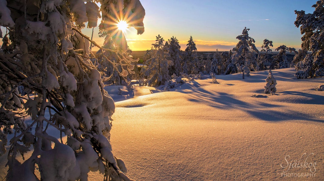 Experience a magical winter sunset at Bälingeberget, Sweden. A landscape photography gallery capturing the golden light and a story of creative rebirth.