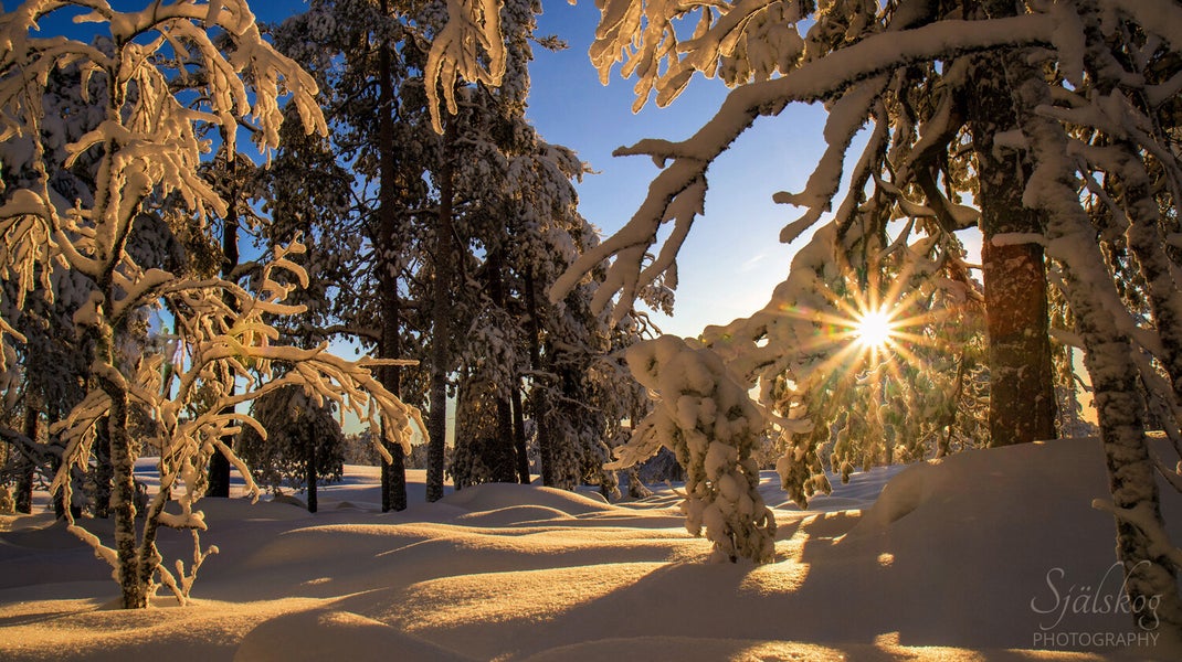 Enchanting winter landscape photography from Bälingeberget, Sweden. Explore a gallery of sunset photos and the story behind mastering creative failure.