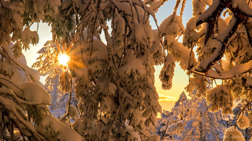 Experience a magical winter sunset at Bälingeberget, Sweden. A landscape photography gallery capturing the golden light and a story of creative rebirth.