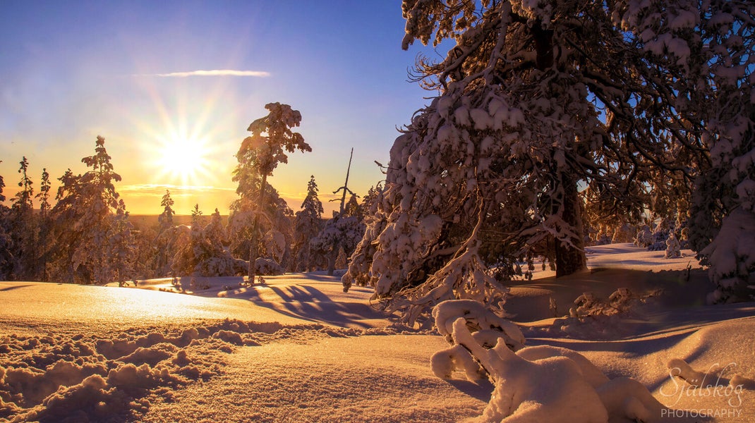 Experience a magical winter sunset at Bälingeberget, Sweden. A landscape photography gallery capturing the golden light and a story of creative rebirth.