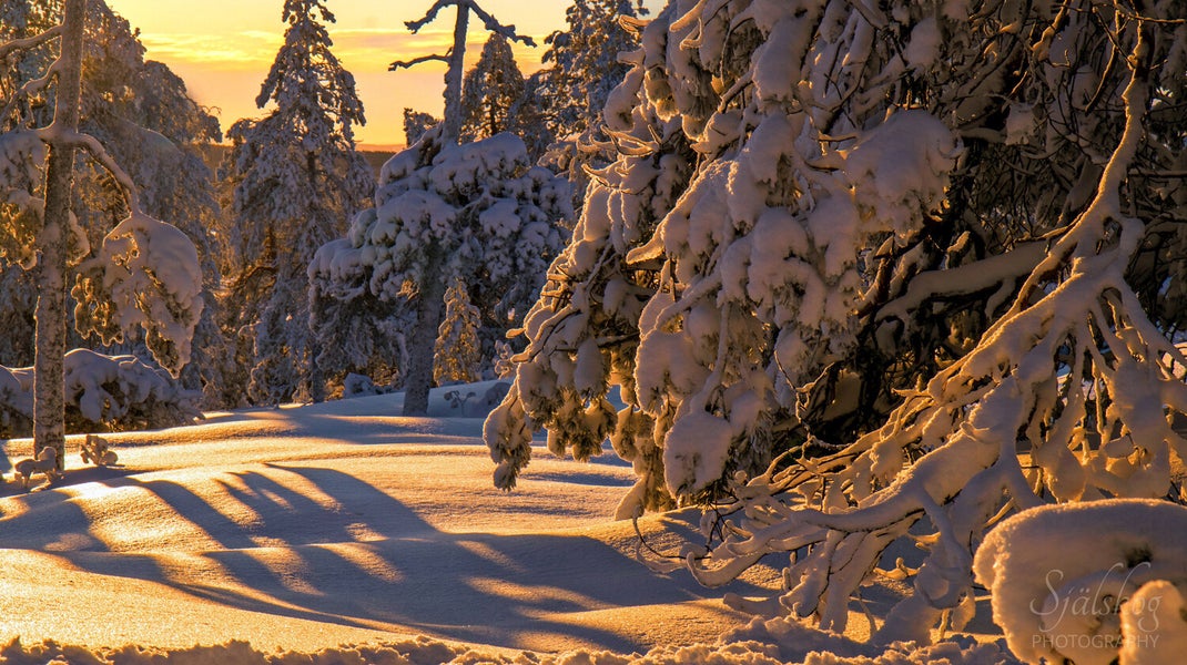Experience a magical winter sunset at Bälingeberget, Sweden. A landscape photography gallery capturing the golden light and a story of creative rebirth.