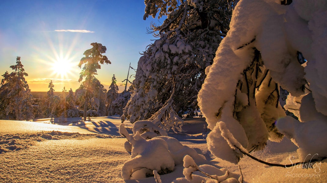A tale of 'cursed' winter photos from Bälingeberget, Sweden. Discover the alchemy of transforming flawed landscapes into an enchanting gallery of light.