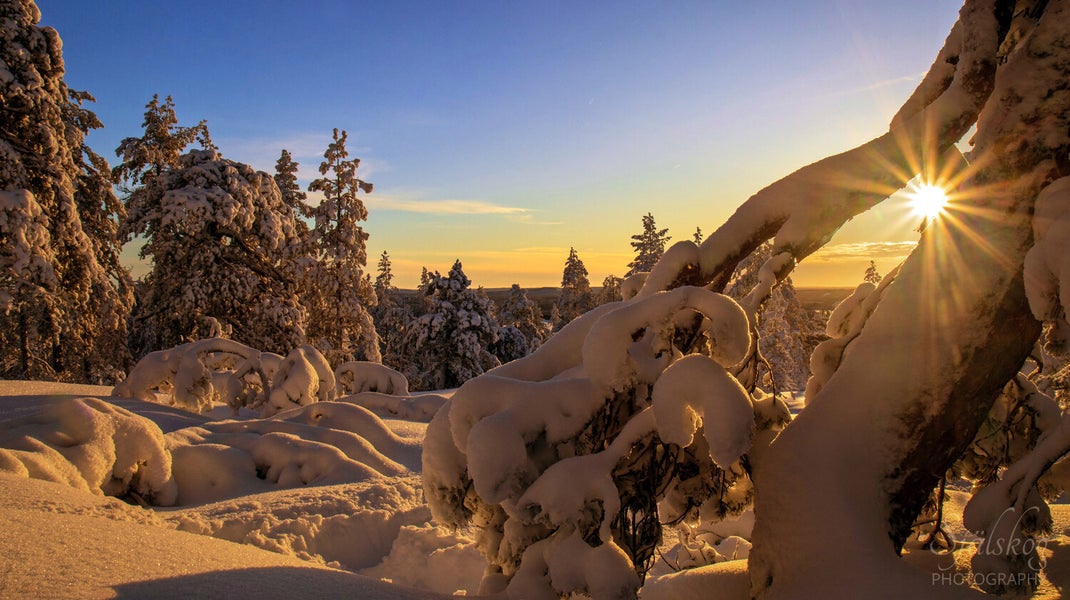 Experience a magical winter sunset at Bälingeberget, Sweden. A landscape photography gallery capturing the golden light and a story of creative rebirth.