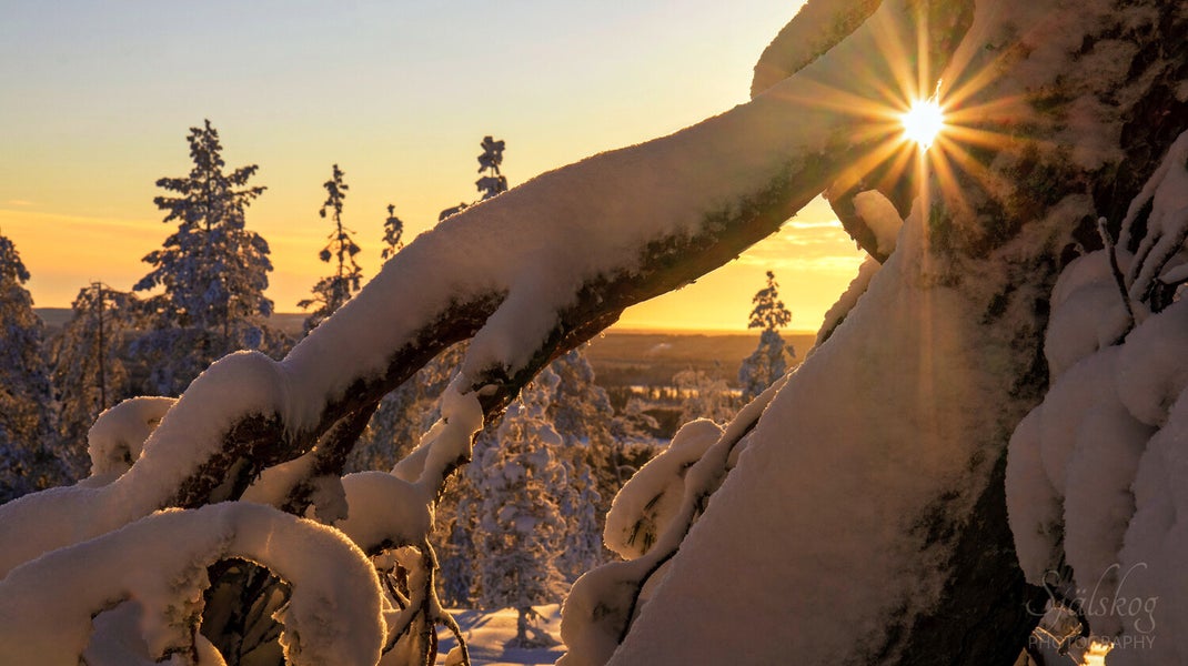 Experience a magical winter sunset at Bälingeberget, Sweden. A landscape photography gallery capturing the golden light and a story of creative rebirth.