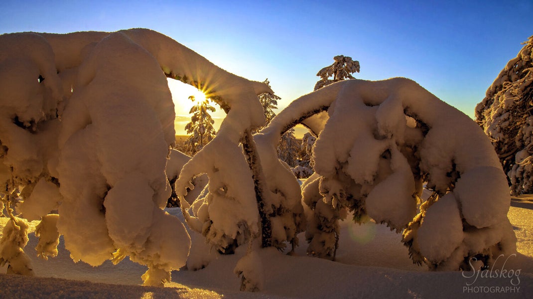 Experience a magical winter sunset at Bälingeberget, Sweden. A landscape photography gallery capturing the golden light and a story of creative rebirth.