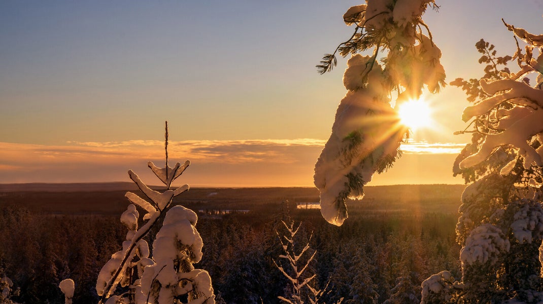 Experience a magical winter sunset at Bälingeberget, Sweden. A landscape photography gallery capturing the golden light and a story of creative rebirth.