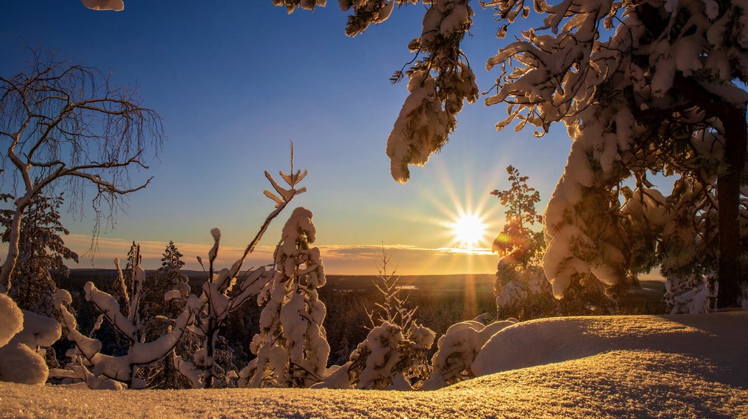 Experience a magical winter sunset at Bälingeberget, Sweden. A landscape photography gallery capturing the golden light and a story of creative rebirth.