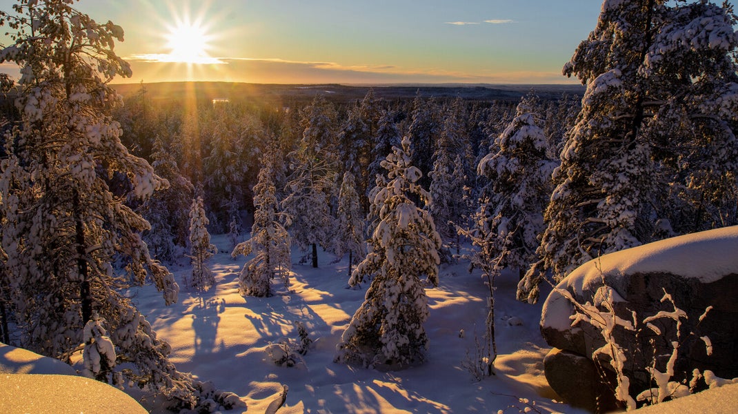 Experience a magical winter sunset at Bälingeberget, Sweden. A landscape photography gallery capturing the golden light and a story of creative rebirth.