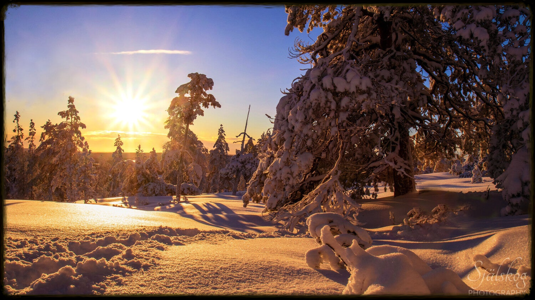 Experience a magical winter sunset at Bälingeberget, Sweden. A landscape photography gallery capturing the golden light and a story of creative rebirth.