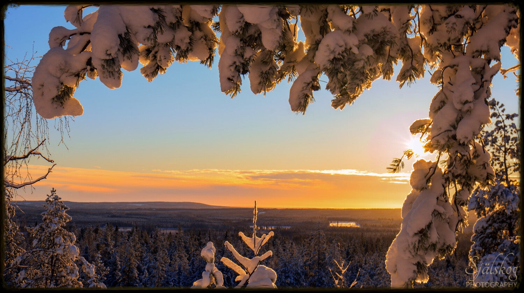 Experience a magical winter sunset at Bälingeberget, Sweden. A landscape photography gallery capturing the golden light and a story of creative rebirth.