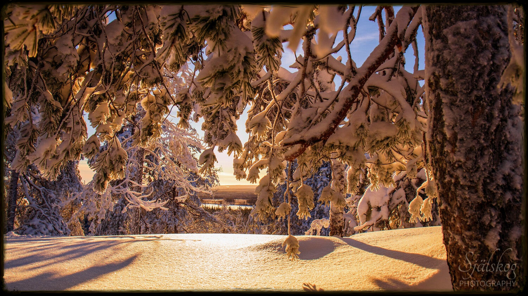 Enchanting winter landscape photography from Bälingeberget, Sweden. Explore a gallery of sunset photos and the story behind mastering creative failure.