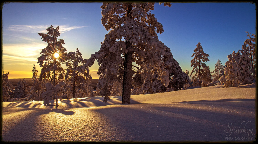 A tale of 'cursed' winter photos from Bälingeberget, Sweden. Discover the alchemy of transforming flawed landscapes into an enchanting gallery of light.