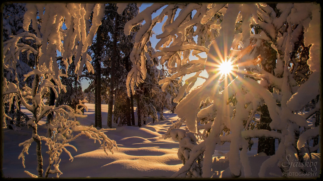 Enchanting winter landscape photography from Bälingeberget, Sweden. Explore a gallery of sunset photos and the story behind mastering creative failure.