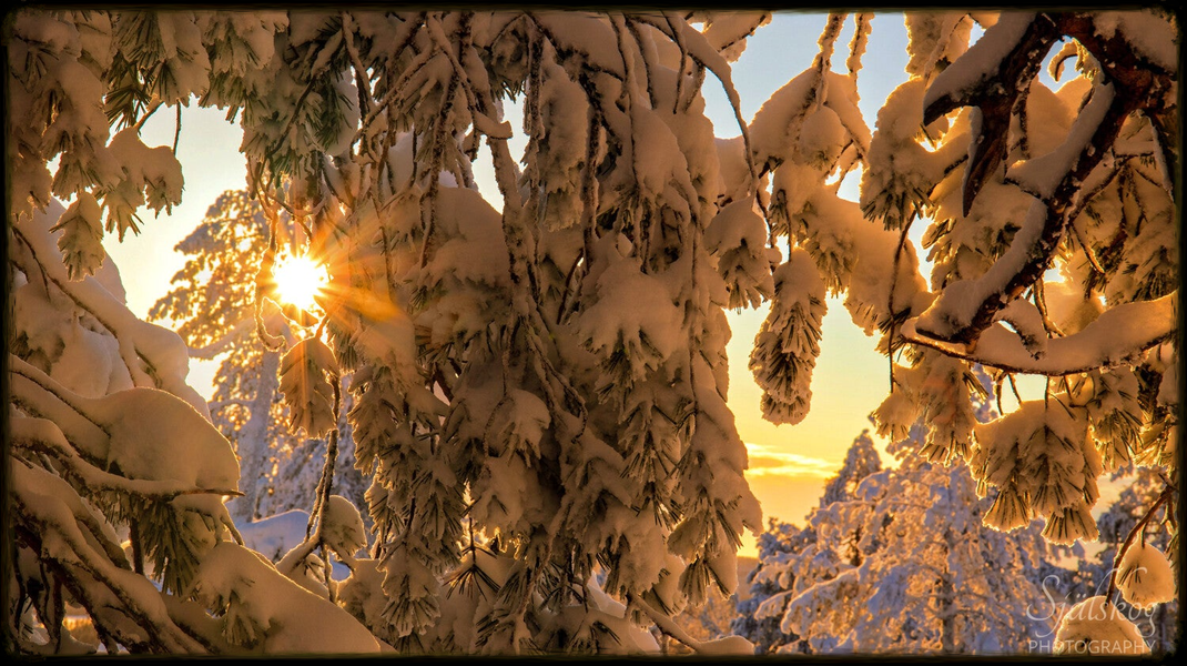 Experience a magical winter sunset at Bälingeberget, Sweden. A landscape photography gallery capturing the golden light and a story of creative rebirth.