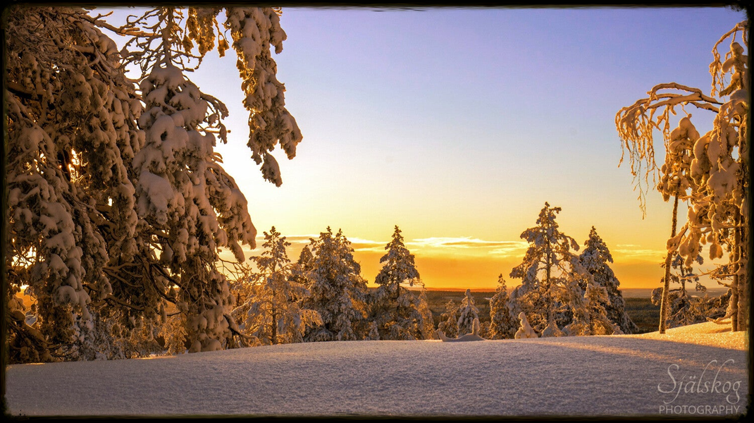 A tale of 'cursed' winter photos from Bälingeberget, Sweden. Discover the alchemy of transforming flawed landscapes into an enchanting gallery of light.