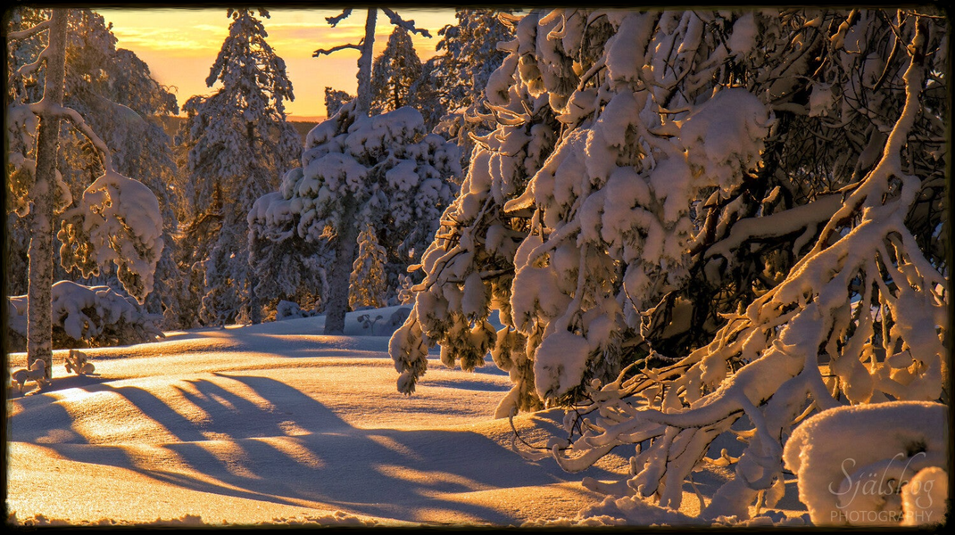Experience a magical winter sunset at Bälingeberget, Sweden. A landscape photography gallery capturing the golden light and a story of creative rebirth.