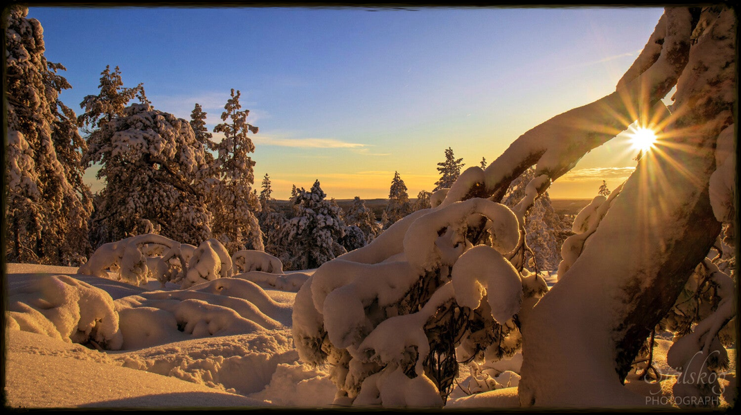 Experience a magical winter sunset at Bälingeberget, Sweden. A landscape photography gallery capturing the golden light and a story of creative rebirth.