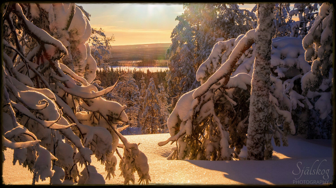 Enchanting winter landscape photography from Bälingeberget, Sweden. Explore a gallery of sunset photos and the story behind mastering creative failure.