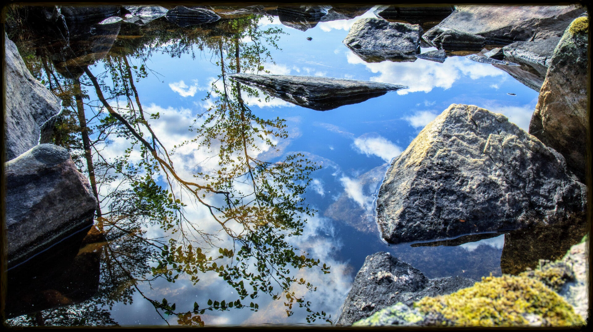 Photograph of a still lake reflecting the surrounding wilderness.