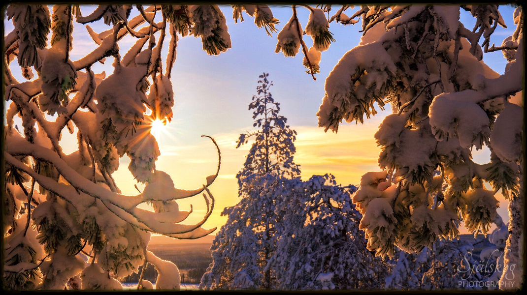 Enchanting winter landscape photography from Bälingeberget, Sweden. Explore a gallery of sunset photos and the story behind mastering creative failure.