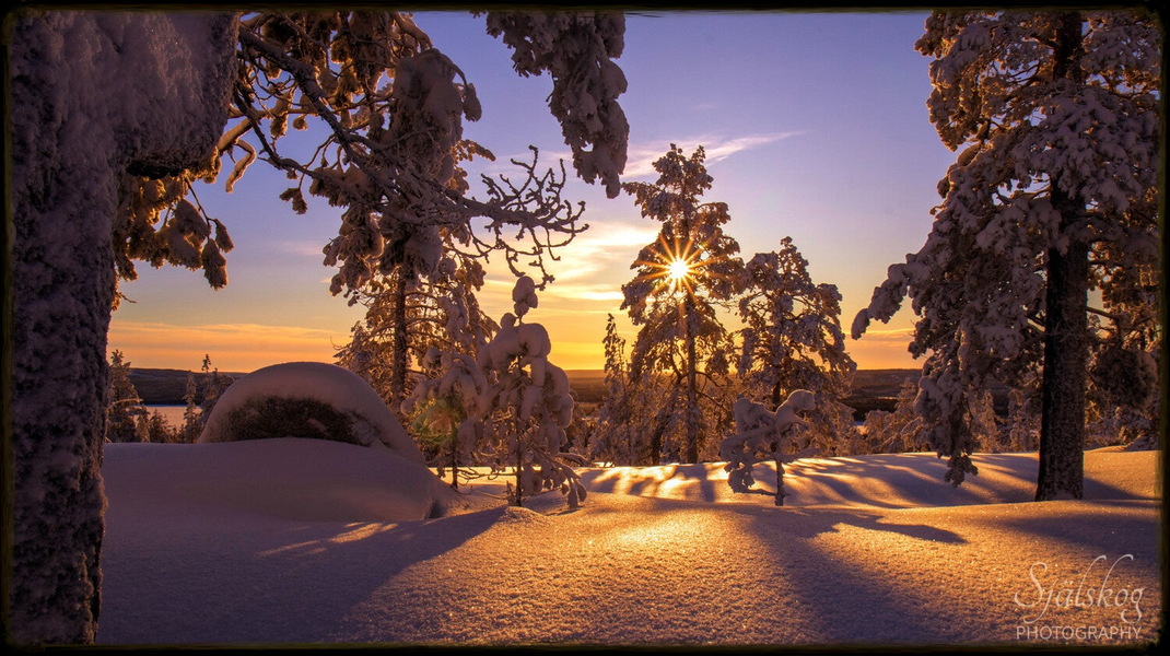 A tale of 'cursed' winter photos from Bälingeberget, Sweden. Discover the alchemy of transforming flawed landscapes into an enchanting gallery of light.