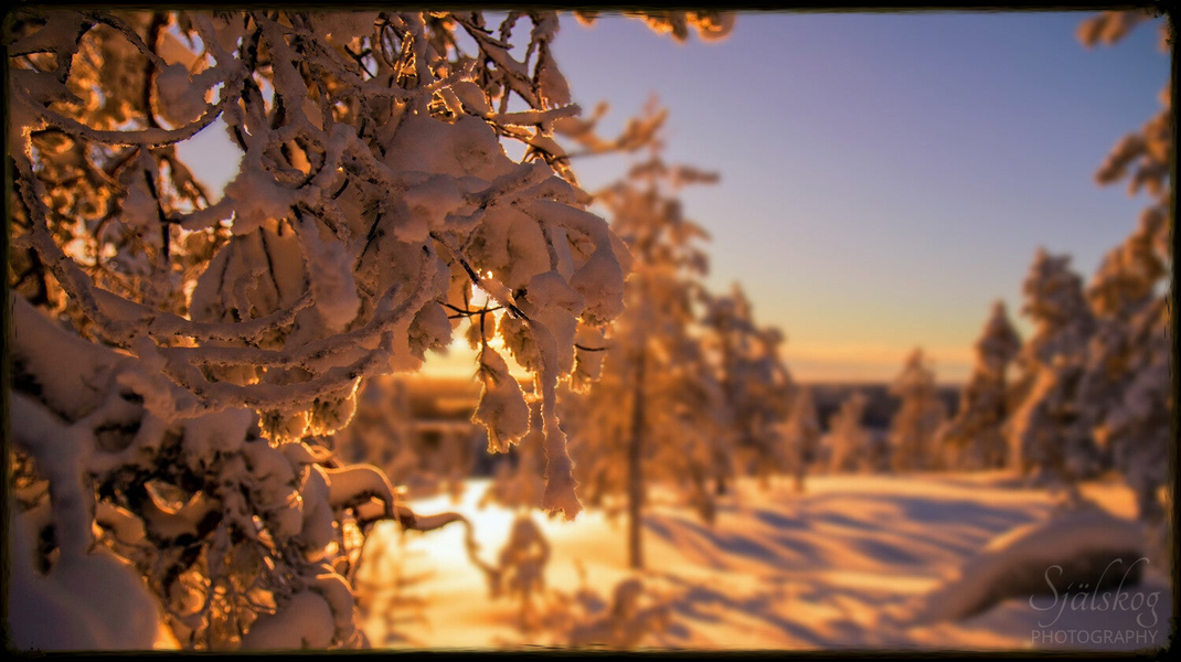 A tale of 'cursed' winter photos from Bälingeberget, Sweden. Discover the alchemy of transforming flawed landscapes into an enchanting gallery of light.