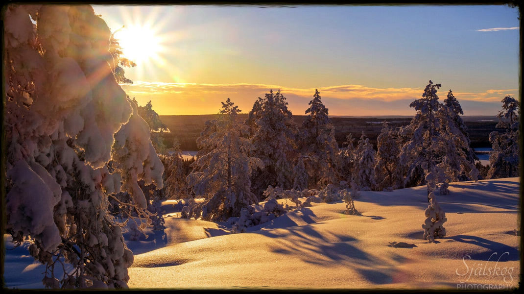 Experience a magical winter sunset at Bälingeberget, Sweden. A landscape photography gallery capturing the golden light and a story of creative rebirth.
