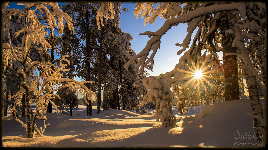 Enchanting winter landscape photography from Bälingeberget, Sweden. Explore a gallery of sunset photos and the story behind mastering creative failure.