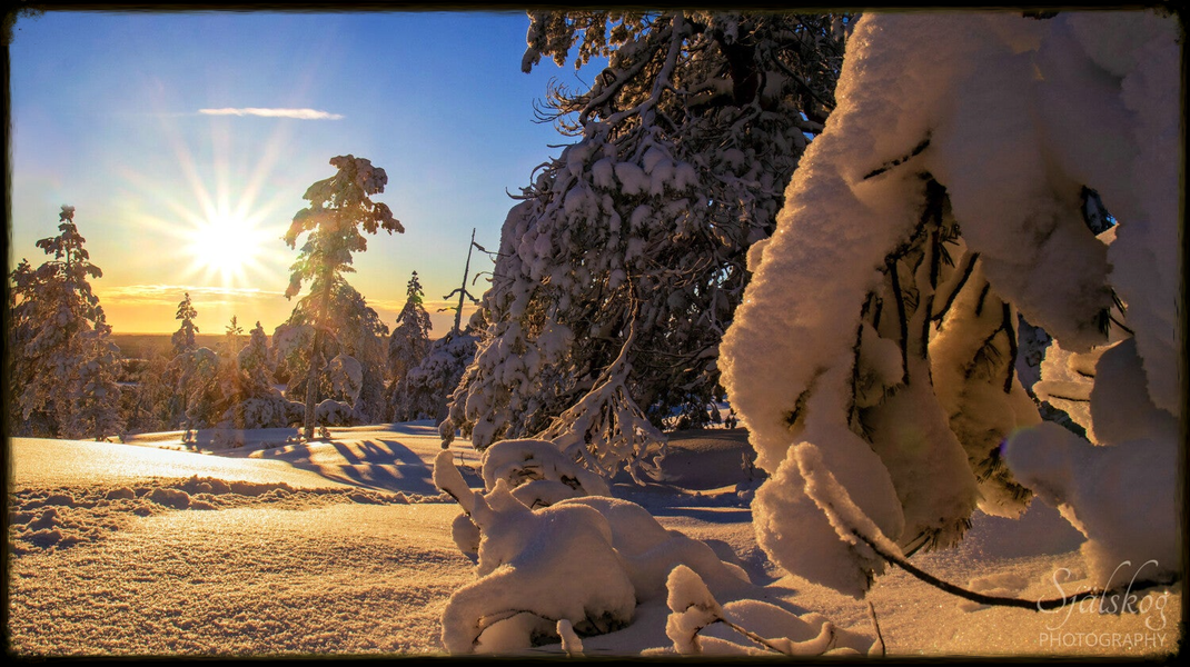 A tale of 'cursed' winter photos from Bälingeberget, Sweden. Discover the alchemy of transforming flawed landscapes into an enchanting gallery of light.
