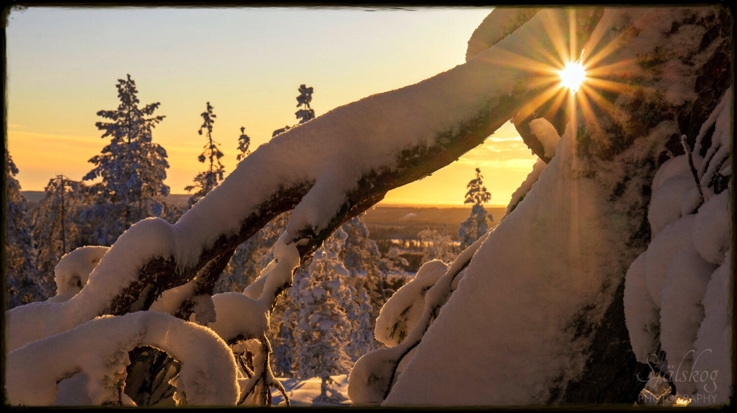 Experience a magical winter sunset at Bälingeberget, Sweden. A landscape photography gallery capturing the golden light and a story of creative rebirth.