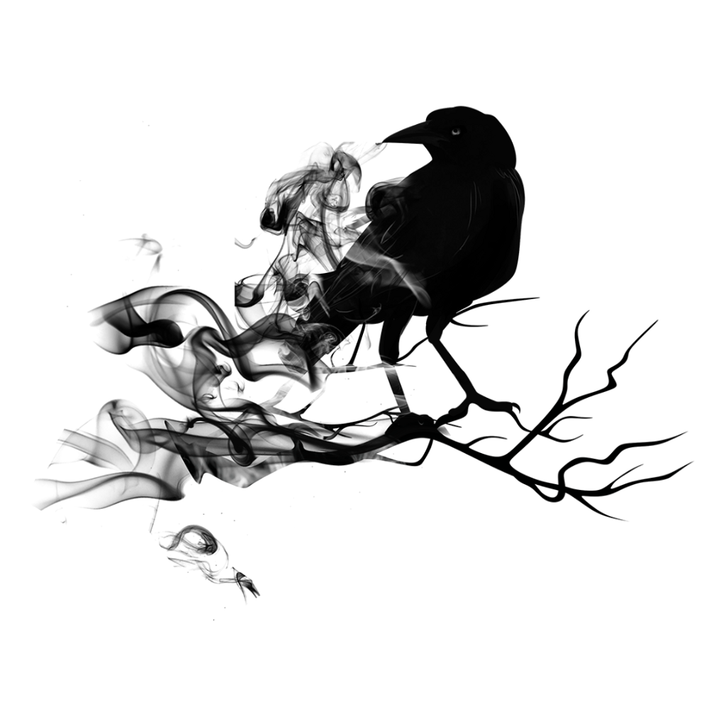 Odins's Raven Norse Mythology | Sjalskog Photography