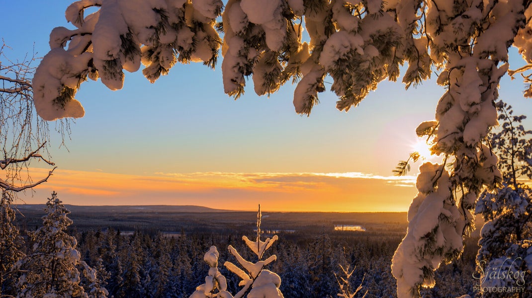 Experience a magical winter sunset at Bälingeberget, Sweden. A landscape photography gallery capturing the golden light and a story of creative rebirth.