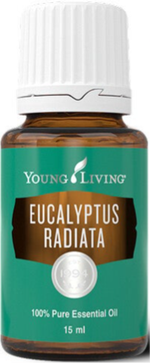 Eucalyptus Radiata 15ml