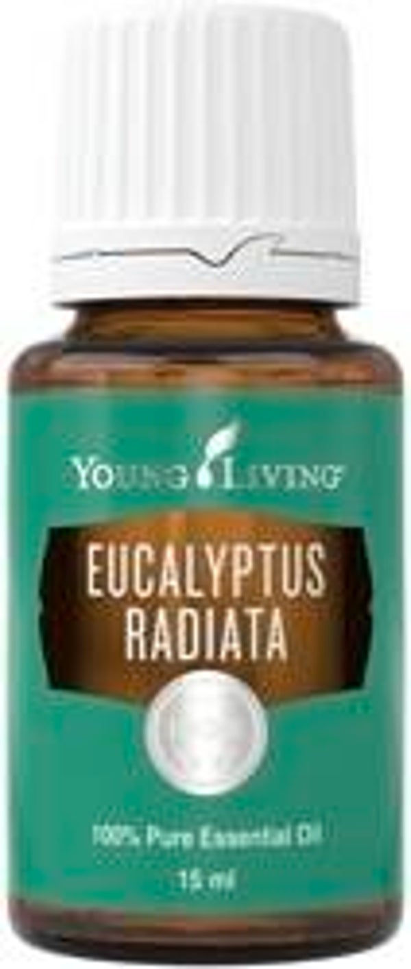 Eucalyptus Radiata 15ml