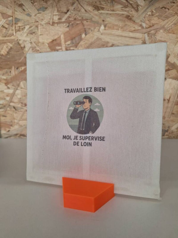 Motif "Travaillez bien moi, je supervise de loin"