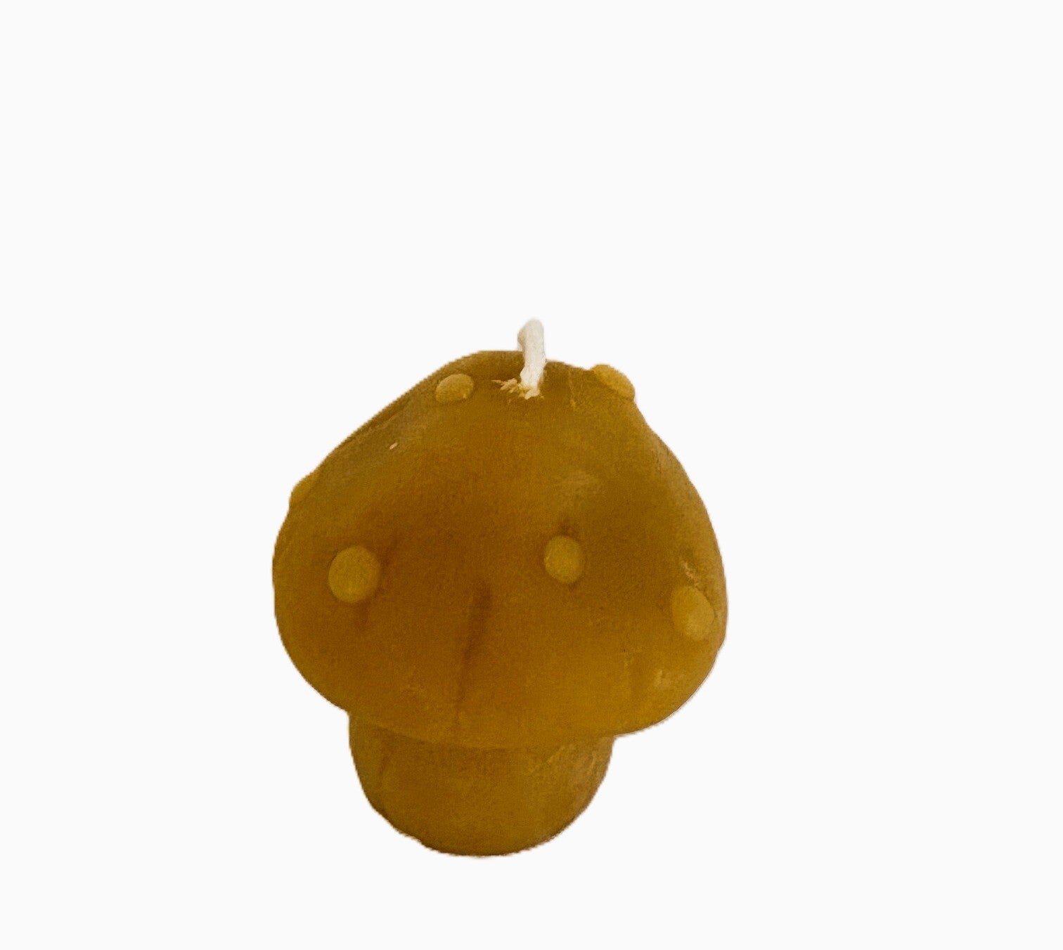 Mushroom Beeswax Candle (Medium)