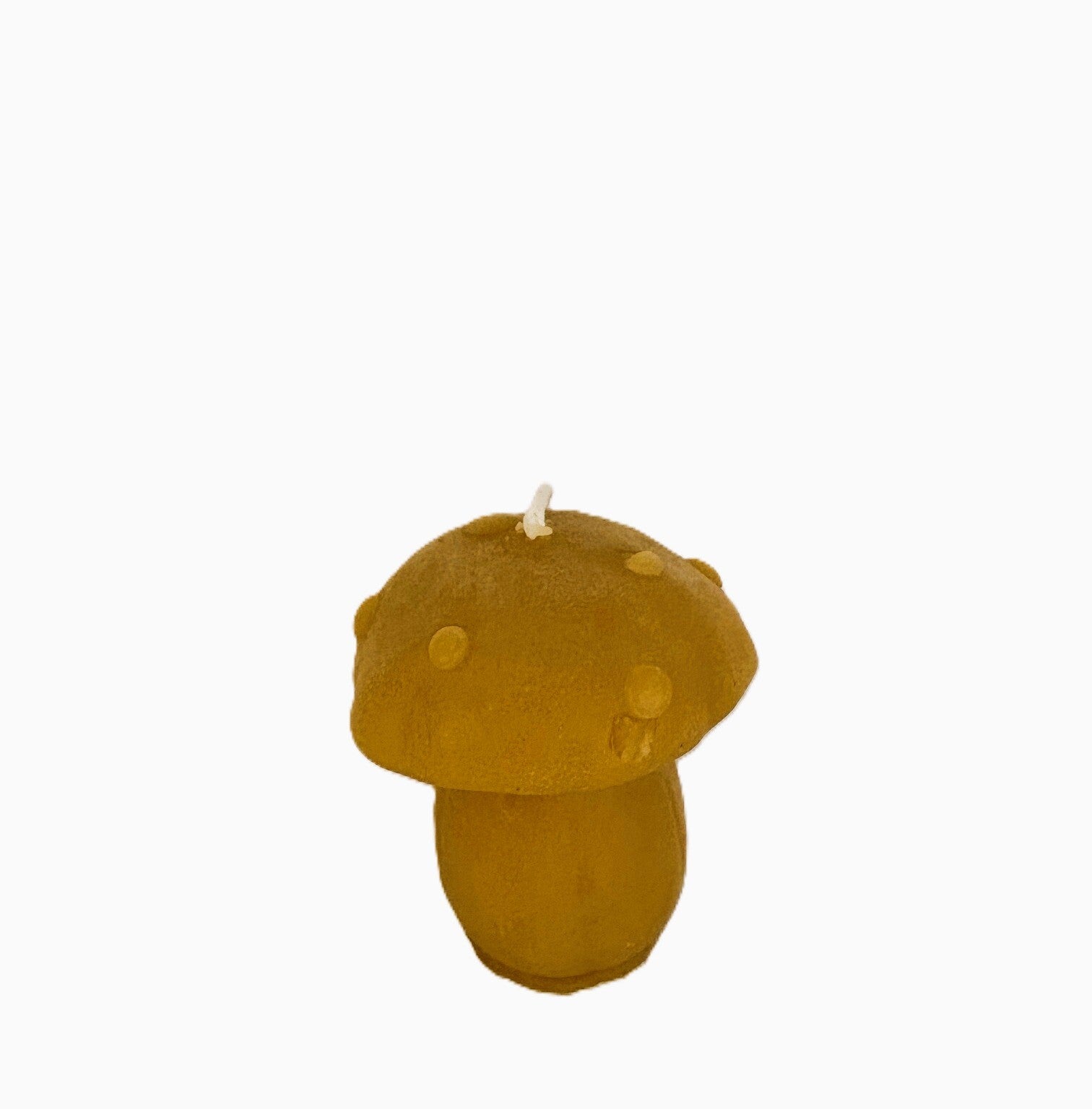 Mushroom Beeswax Candle (Small)