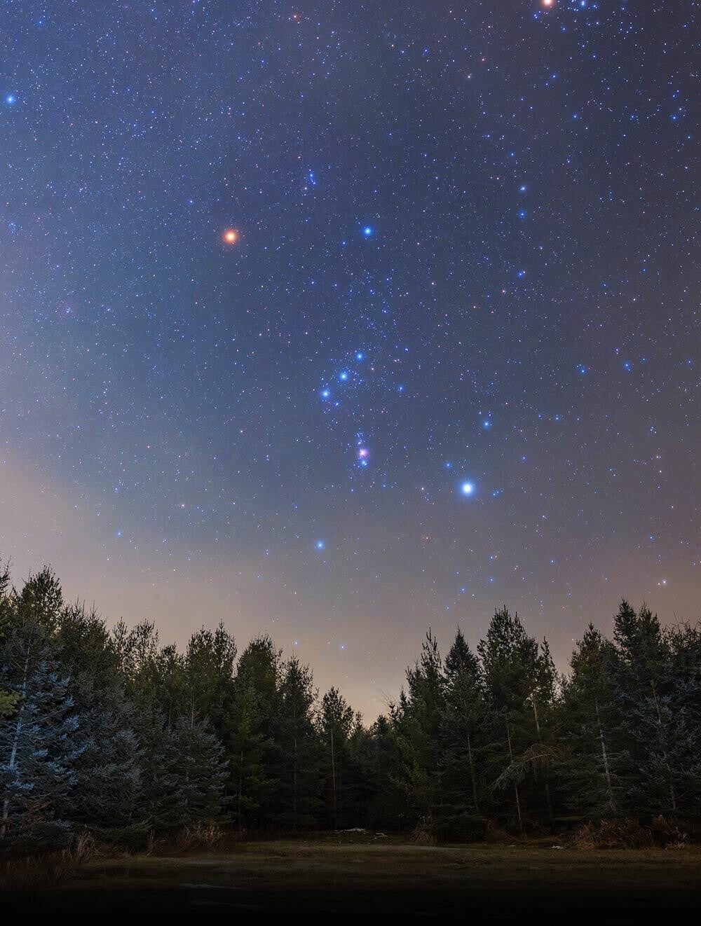 Betelgeuse shining as the bright red supergiant star in the Orion constellation.