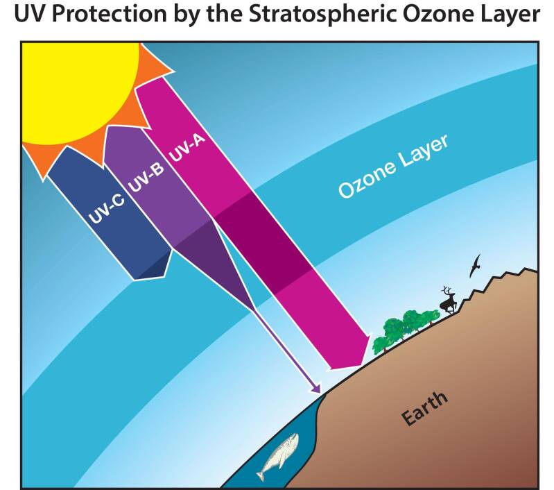 Gamma-ray burst radiation affecting Earth's ozone layer and atmosphere