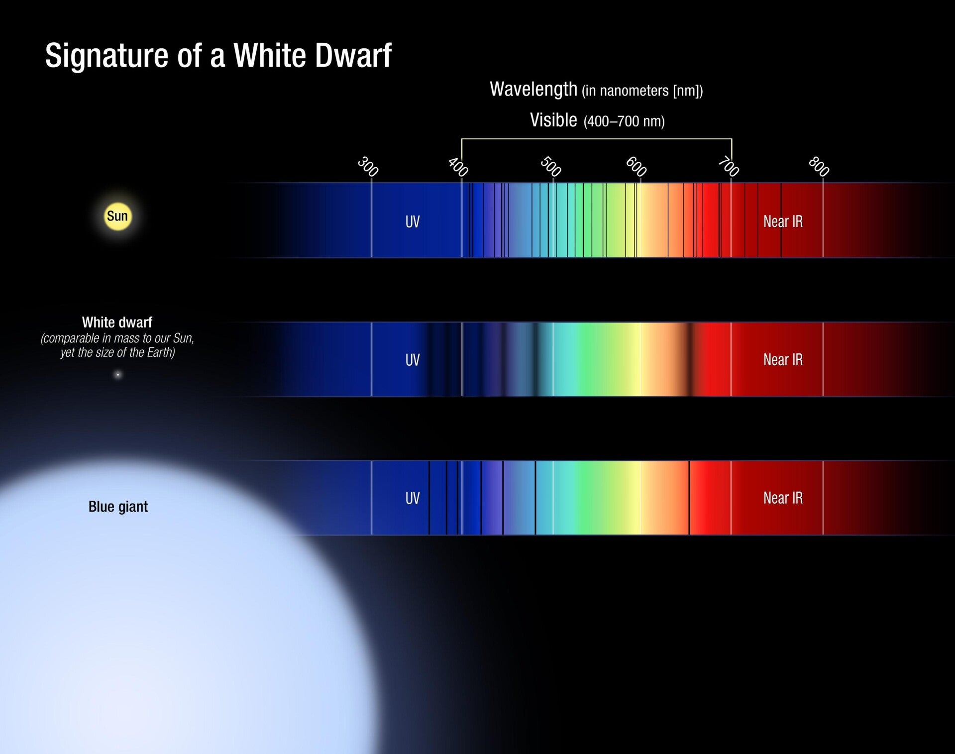 Spectrum of a white dwarf showing broad absorption lines