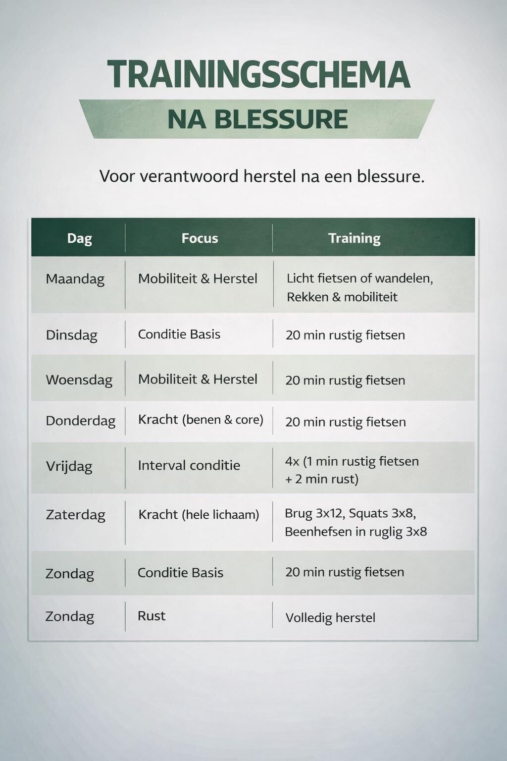 Recovery Plan, 6 Maanden