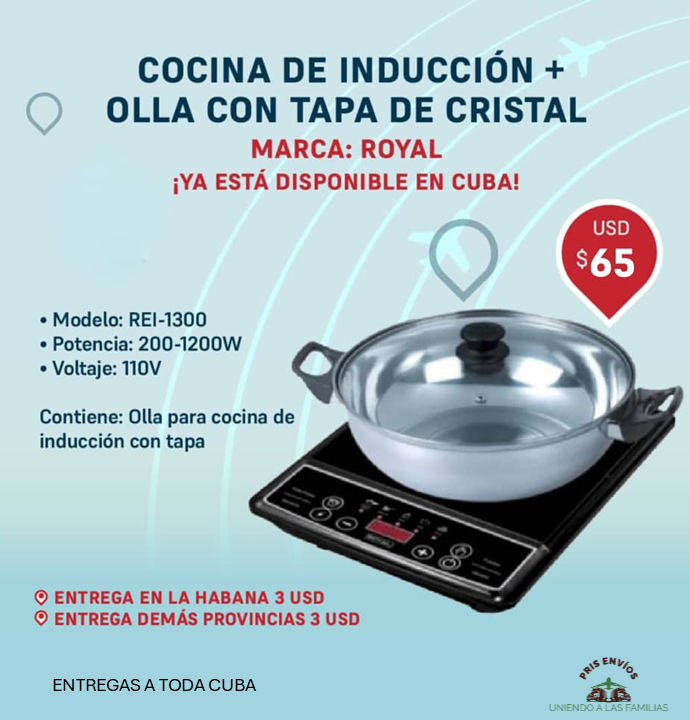 COCINA DE INDUCCIÓN +OLLA CON TAPA