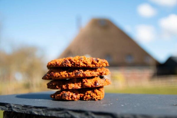 zaanse haver cranberry - 4 stuks
