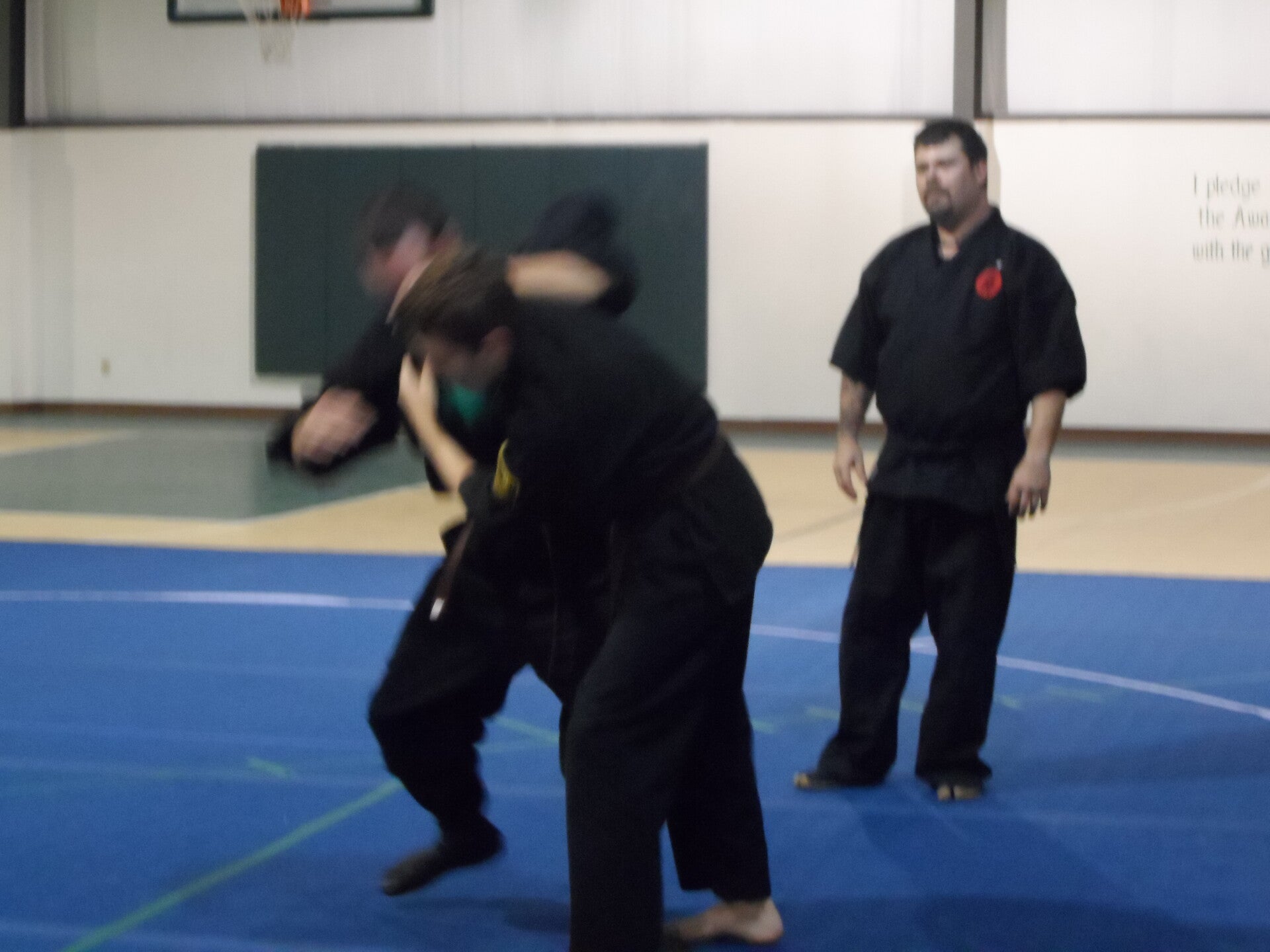 ninjutsu-129-standard.jpg