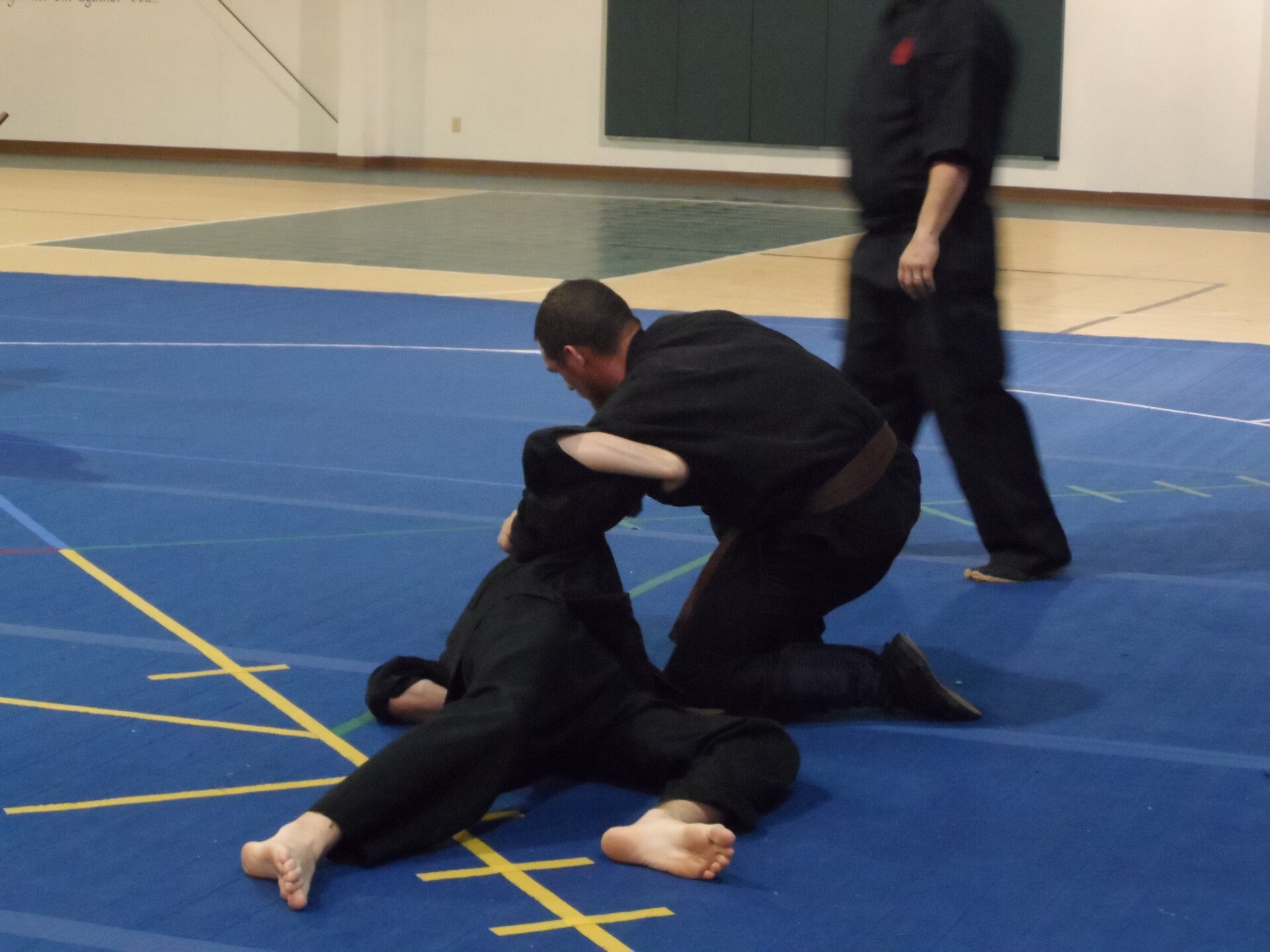 ninjutsu-130-standard.jpg