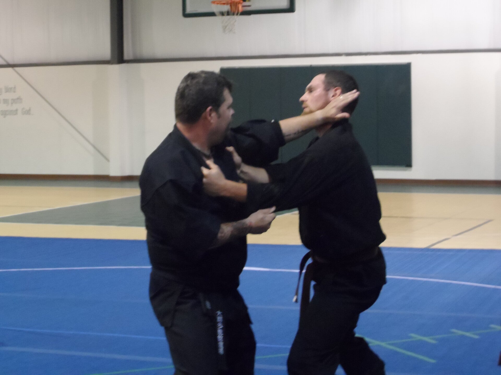 ninjutsu-133-standard-gind46.jpg