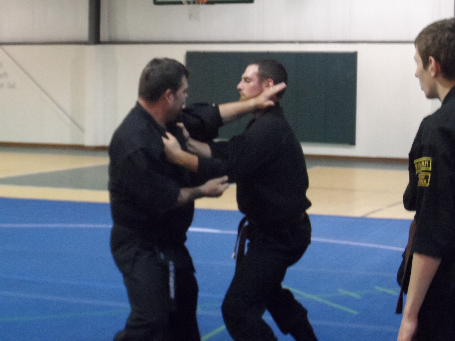 ninjutsu-134-standard.jpg